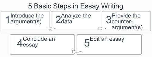 basic steps in essay writing